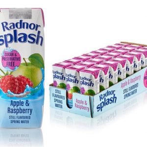 Radnor Splash Apple & Raspberry Still Spring Water 250ml - Box of 24