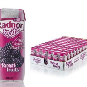 Radnor Fruits Still Forest Fruits Tetra Cartons 125ml - Box of 60